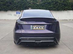 Tesla Model Y Rear-Wheel Drive - ფოტო 5