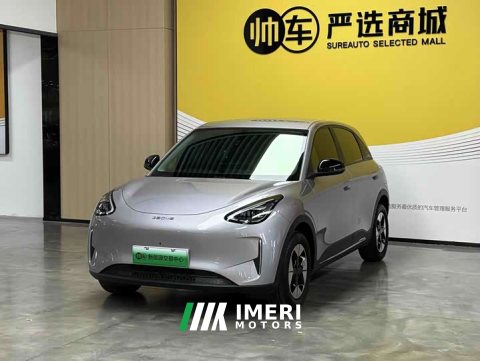 2025 Geely Xing Yuan 310km Dream Edition - ავტომობილი ჩინეთიდან