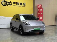 Geely Xing Yuan 310km Dream Edition - ფოტო 3