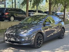 Tesla Model Y 2022 Facelift Long Range All-Wheel Drive - ფოტო 1