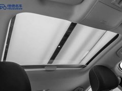Volkswagen Lingdu 230TSI DSG Fashion Edition - ფოტო 20