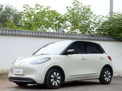 Wuling Binguo 333km Joy Edition - ფოტო 1