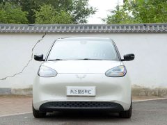 Wuling Binguo 333km Joy Edition - ფოტო 2