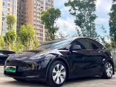 Tesla Model Y Rear-Wheel Drive - ფოტო 1