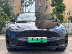 Tesla Model Y Rear-Wheel Drive - ფოტო 2