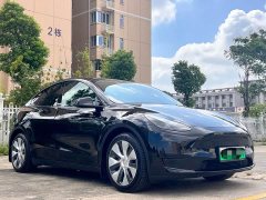 Tesla Model Y Rear-Wheel Drive - ფოტო 3