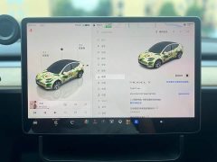 Tesla Model Y Rear-Wheel Drive - ფოტო 4