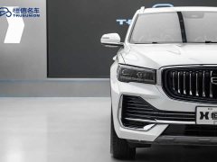 Geely Xingyue L 2.0T High-Power Auto FWD Cloud Rising Edition - ფოტო 8