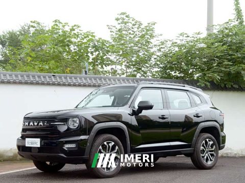 2026 Haval Big Dog PLUS 2.0T Trendy Wilderness Edition - ავტომობილი ჩინეთიდან