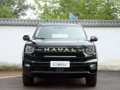 Haval Big Dog PLUS 2.0T Trendy Wilderness Edition - ფოტო 2