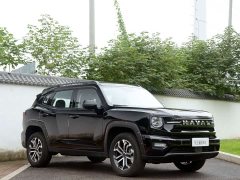 Haval Big Dog PLUS 2.0T Trendy Wilderness Edition - ფოტო 3