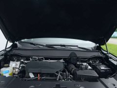 Haval Big Dog PLUS 2.0T Trendy Wilderness Edition - ფოტო 4
