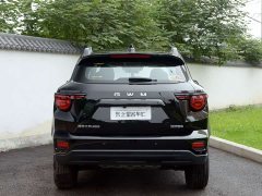 Haval Big Dog PLUS 2.0T Trendy Wilderness Edition - ფოტო 8