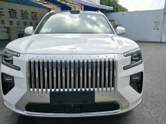 Zeekr Geely Zeekr 8X Max 70kWh - ფოტო 2
