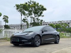 Tesla Model 3 Rear-Wheel Drive - ფოტო 1