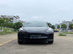 Tesla Model 3 Rear-Wheel Drive - ფოტო 2