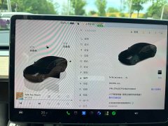 Tesla Model 3 Rear-Wheel Drive - ფოტო 8