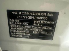Zeekr Geely Zeekr 001 YOU Edition 100kWh AWD - ფოტო 19