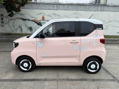 Wuling Hongguang MINIEV Macaron Fashion Edition LFP Battery - ფოტო 2