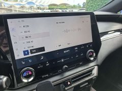 Lexus RX New Energy 450h AWD Comfort Edition - ფოტო 15
