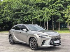 Lexus RX New Energy 450h AWD Comfort Edition - ფოტო 3