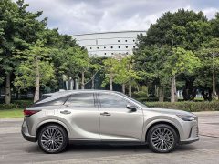 Lexus RX New Energy 450h AWD Comfort Edition - ფოტო 4