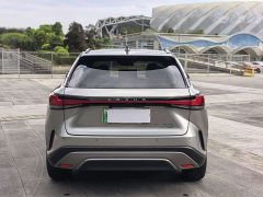 Lexus RX New Energy 450h AWD Comfort Edition - ფოტო 6