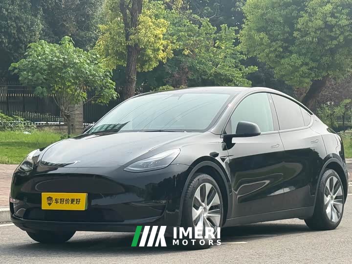 Tesla Model Y 2021 Standard Range RWD - ავტომობილი ჩინეთიდან