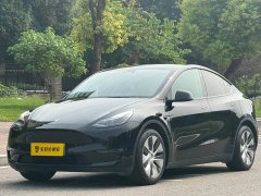Tesla Model Y 2021 Standard Range RWD - ფოტო 1