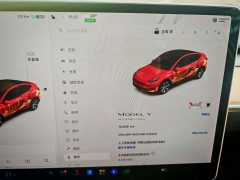 Tesla Model Y 2021 Standard Range RWD - ფოტო 7