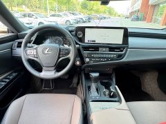Lexus ES 300h Excellence Edition - ფოტო 13