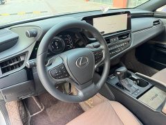 Lexus ES 300h Excellence Edition - ფოტო 8