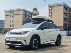 BYD Dolphin 405km Fashion Edition - ფოტო 1