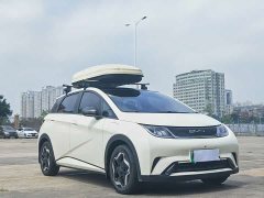 BYD Dolphin 405km Fashion Edition - ფოტო 3