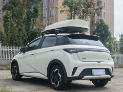 BYD Dolphin 405km Fashion Edition - ფოტო 6