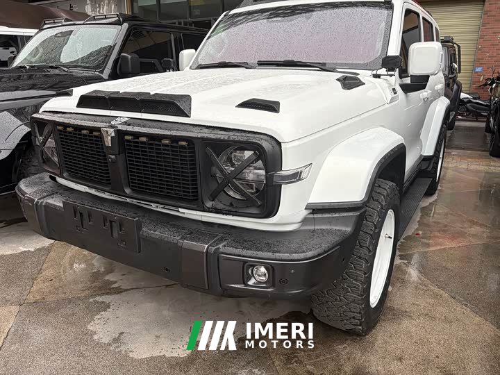 Tank 300 City Edition 2.0T Stylish - ავტომობილი ჩინეთიდან