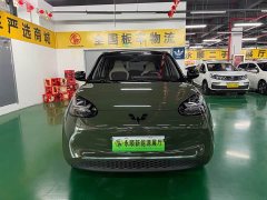 Wuling Binguo 333km Lingxi Connected Edition - ფოტო 2