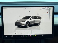 Tesla Model Y 2022 Facelift Rear-Wheel Drive - ფოტო 6