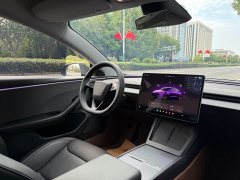 Tesla Model 3 2023 Rear-Wheel Drive - ფოტო 19
