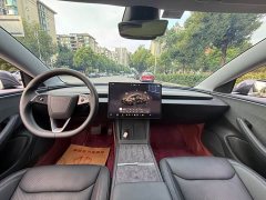 Tesla Model 3 Rear-Wheel Drive - ფოტო 16