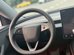 Tesla Model 3 Rear-Wheel Drive - ფოტო 17