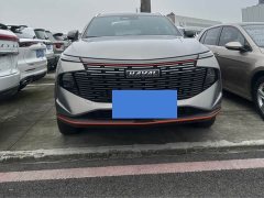 Haval Divine Beast 1.5T Smart Enjoy Edition - ფოტო 2
