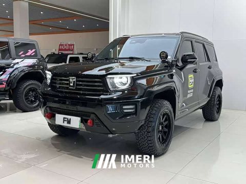 2025 Tank 700 New Energy 2024 Hi4-T Ultimate Edition - ავტომობილი ჩინეთიდან