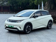 BYD Dolphin 405km Freedom Edition - ფოტო 1