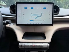BYD Dolphin 405km Freedom Edition - ფოტო 11