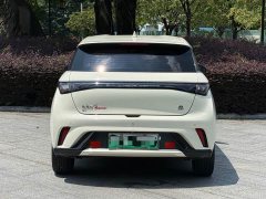 BYD Dolphin 405km Freedom Edition - ფოტო 15