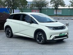 BYD Dolphin 405km Freedom Edition - ფოტო 3