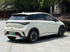 BYD Dolphin 405km Freedom Edition - ფოტო 4