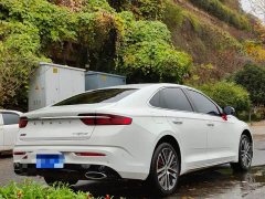 Geely Xingrui 2.0T Diesel Luxury - ფოტო 7