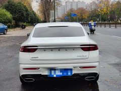 Geely Xingrui 2.0T Diesel Luxury - ფოტო 8